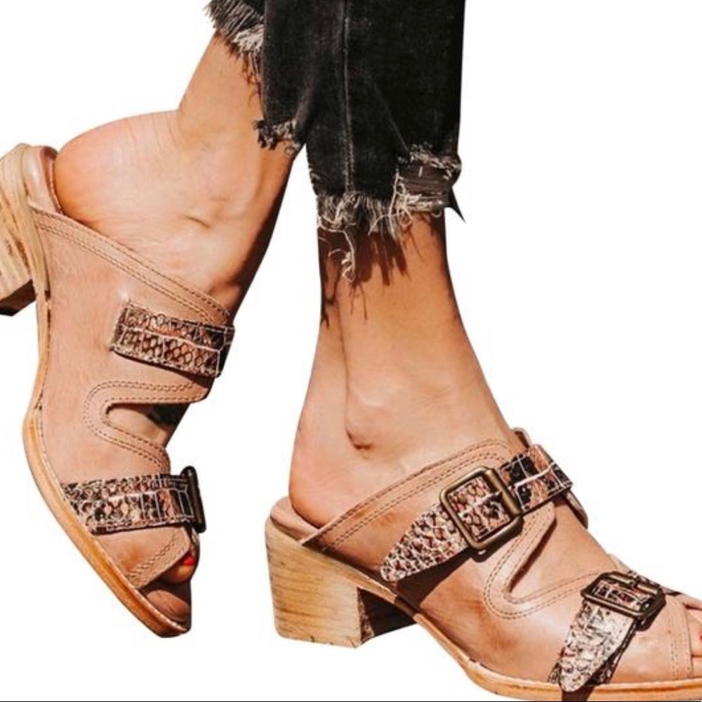 Freebird by Steven Tan Leather Buckle Sandals with Leopard Trim